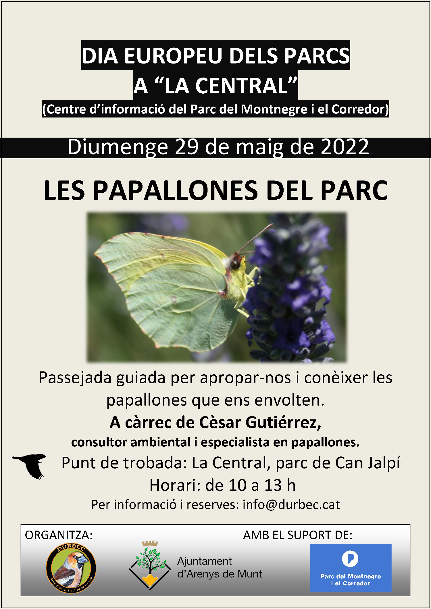 Dia Europeu dels Parcs: Les papallones del parc