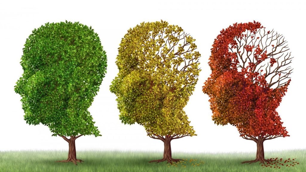 Dia Mundial de l'Alzheimer