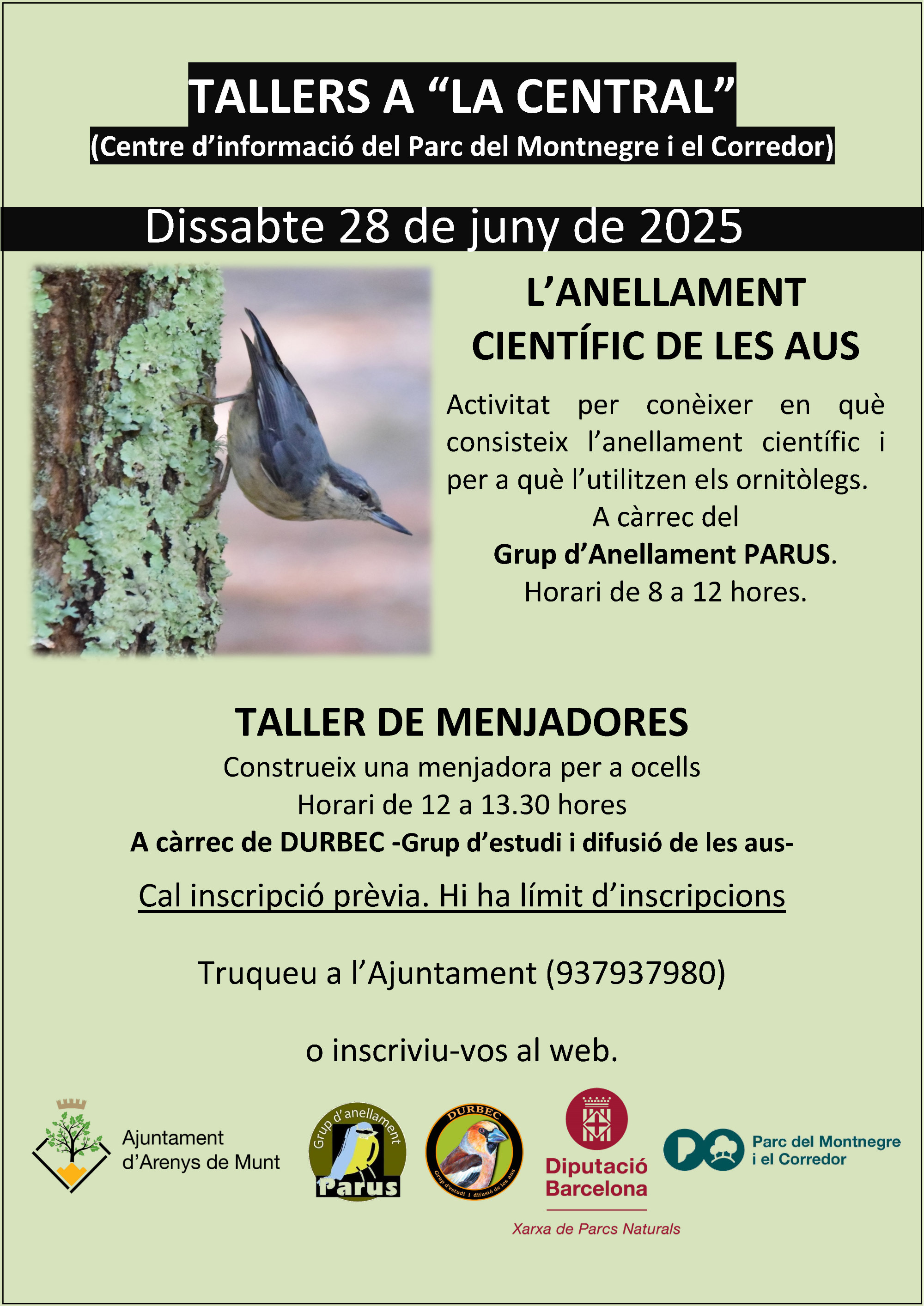 Anellament d'aus i taller de menjadores