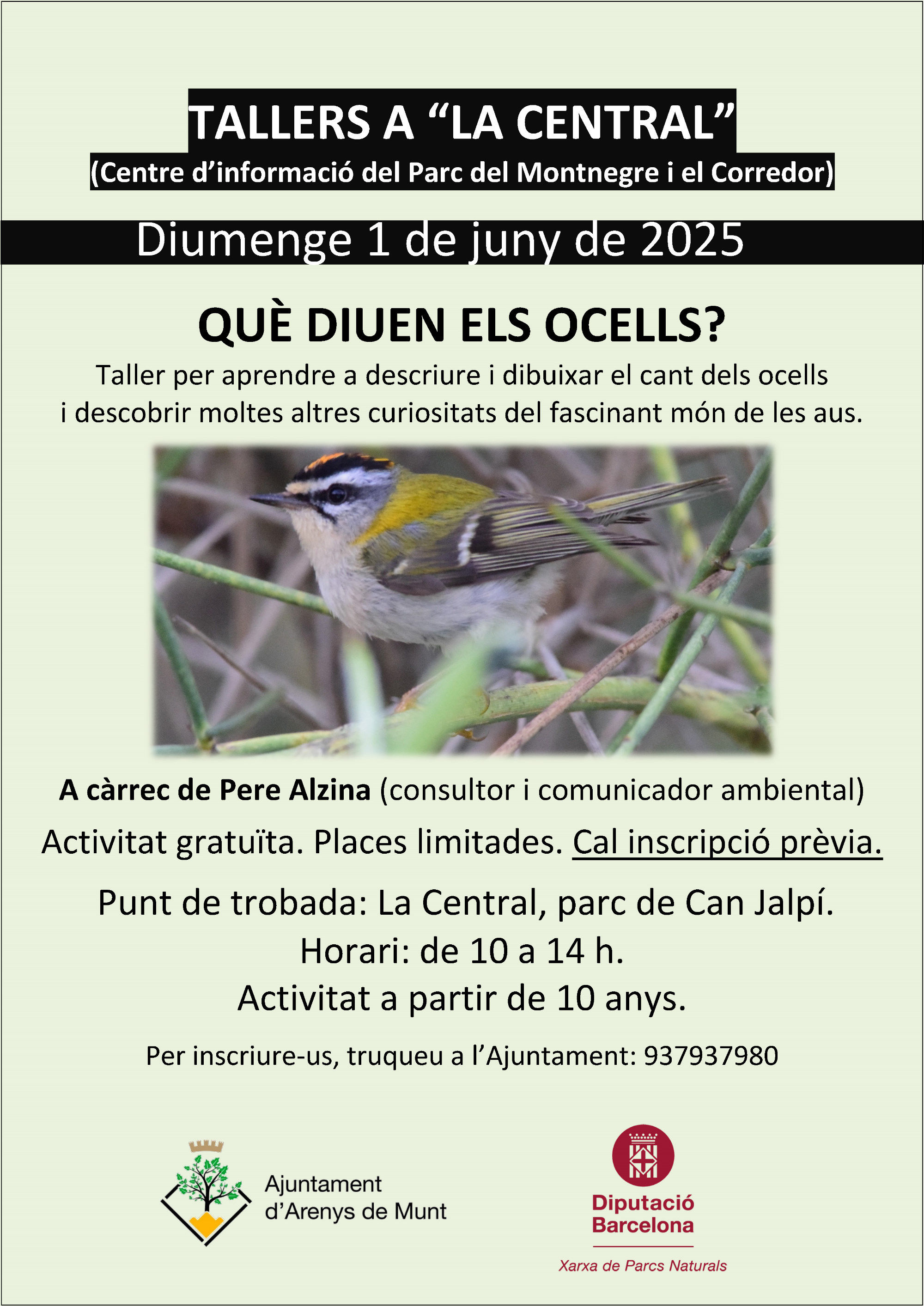 Cartell Taller 'Qu&egrave; diuen els ocells' 1-6-25