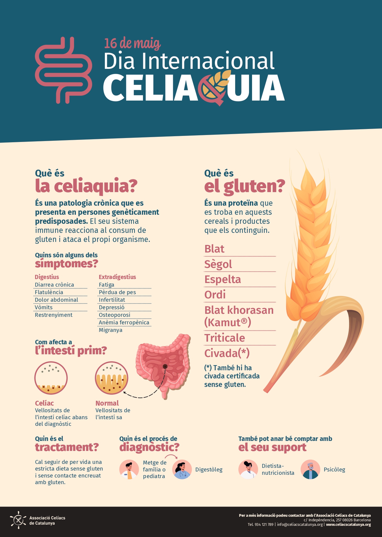 Dia internacional celiaquia